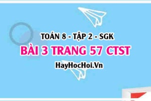 Bài 3 trang 57 Toán 8 Tập 2 Chân trời sáng tạo